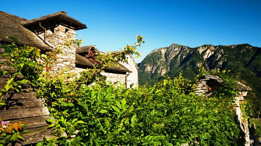 Rovere Losone Zewnętrze zdjęcie